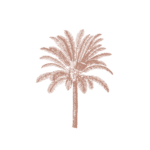 palm